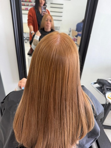 Silk Press (Lavado & Secado & Plancha) 